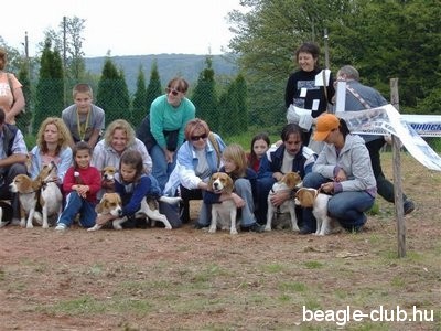 Beagle Találkozó Orfűn